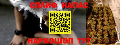 МДПВ Камышлов