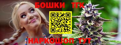 МДПВ Камышлов