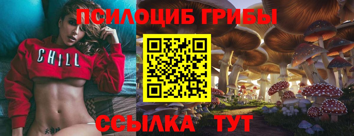 Галлюциногенные грибы ЛСД Котельники